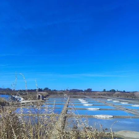 Ferienhaus Charming House In The Heart Of The Salt Marshes *